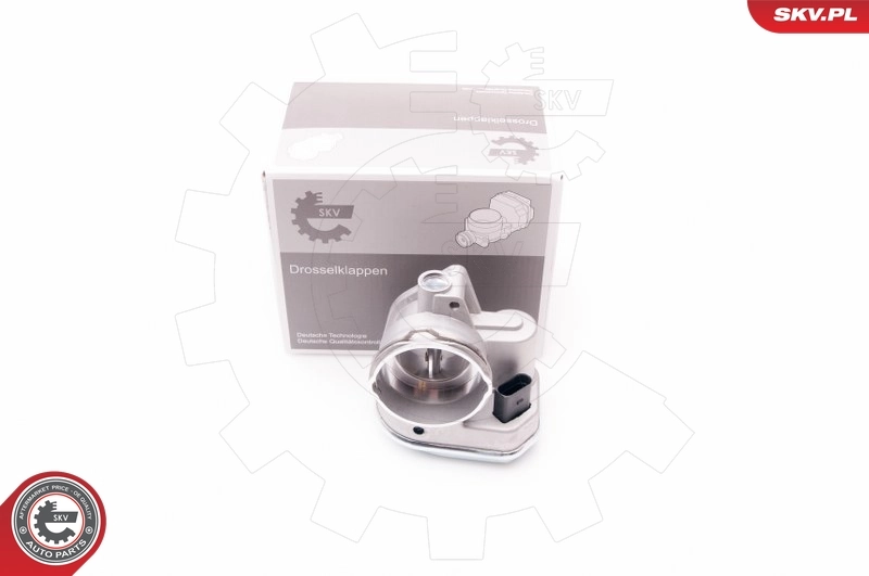 Throttle Body